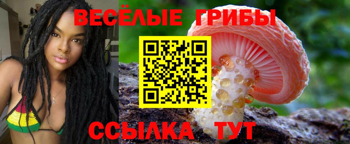 Псилоцибиновые грибы GOLDEN TEACHER Сосновоборск